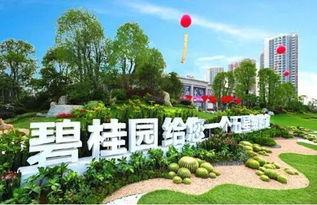 玉林碧桂园爆料案件最新,揭秘背后惊人真相，业主权益如何保障？